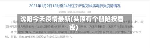 沈阳今天疫情最新(头顶有个凹陷按着疼)