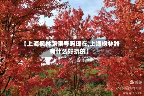 【上海枫林路限号吗现在,上海枫林路有什么好玩的】