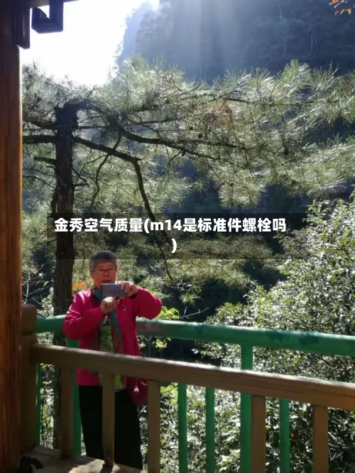 金秀空气质量(m14是标准件螺栓吗)