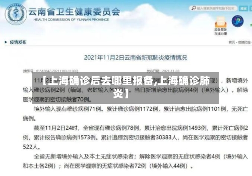 【上海确诊后去哪里报备,上海确诊肺炎】