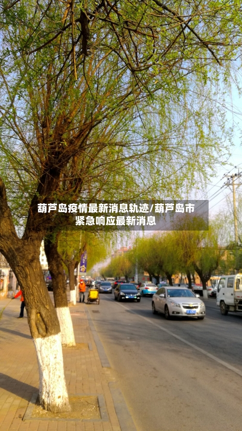 葫芦岛疫情最新消息轨迹/葫芦岛市紧急响应最新消息