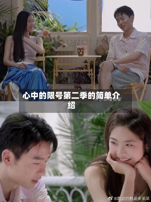心中的限号第二季的简单介绍