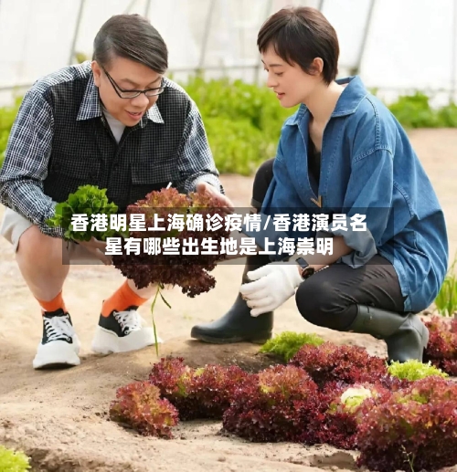 香港明星上海确诊疫情/香港演员名星有哪些出生地是上海崇明