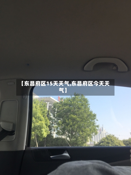 【东昌府区15天天气,东昌府区今天天气】