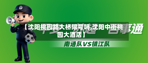 【沈阳桃园路大桥限号吗,沈阳中街桃园大酒店】
