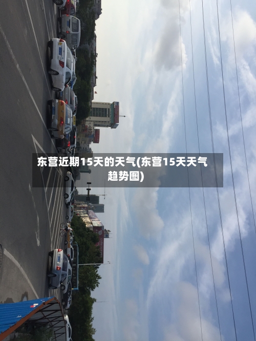 东营近期15天的天气(东营15天天气趋势图)