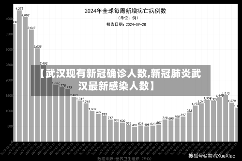 【武汉现有新冠确诊人数,新冠肺炎武汉最新感染人数】