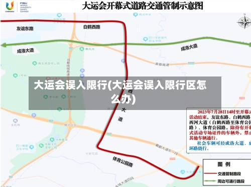 大运会误入限行(大运会误入限行区怎么办)