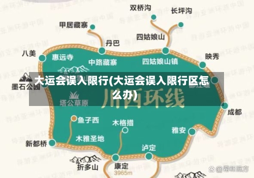 大运会误入限行(大运会误入限行区怎么办)
