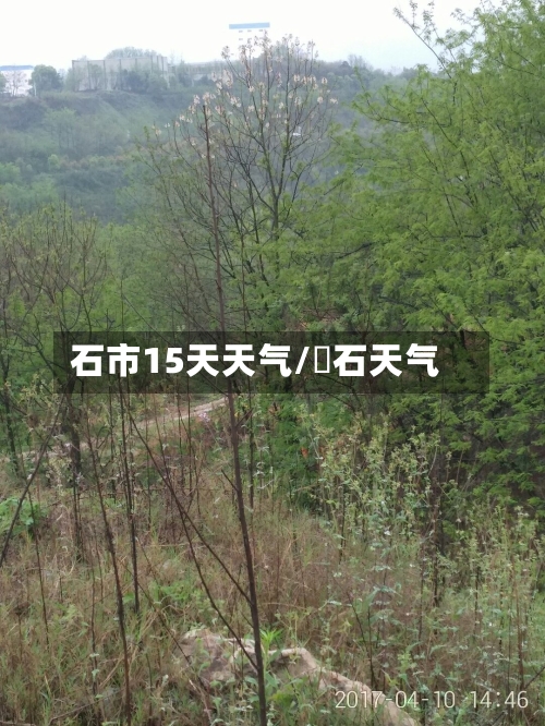 石市15天天气/黃石天气