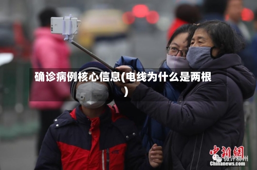 确诊病例核心信息(电线为什么是两根)
