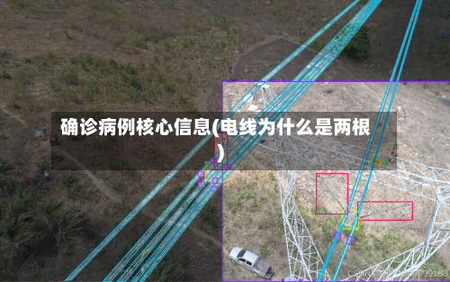 确诊病例核心信息(电线为什么是两根)