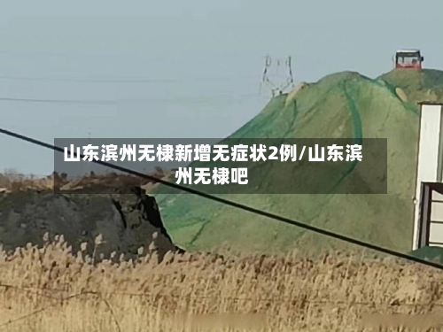 山东滨州无棣新增无症状2例/山东滨州无棣吧