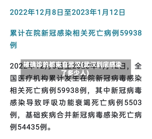 被确诊的都来自武汉(武汉到底感染了多少人)
