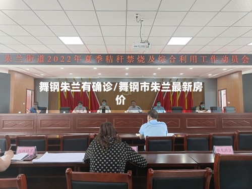 舞钢朱兰有确诊/舞钢市朱兰最新房价