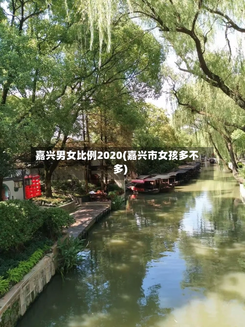 嘉兴男女比例2020(嘉兴市女孩多不多)