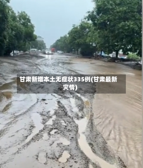 甘肃新增本土无症状335例(甘肃最新灾情)