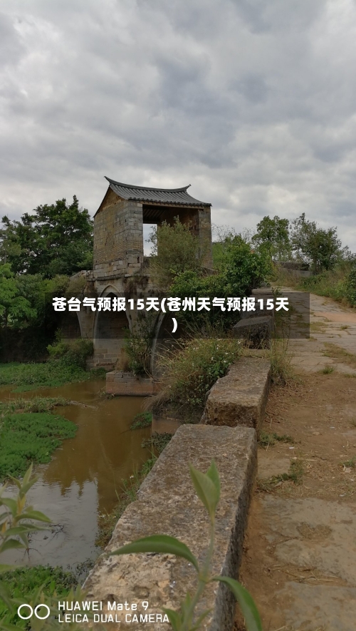 苍台气预报15天(苍州天气预报15天)