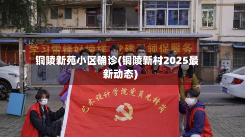 铜陵新苑小区确诊(铜陵新村2025最新动态)