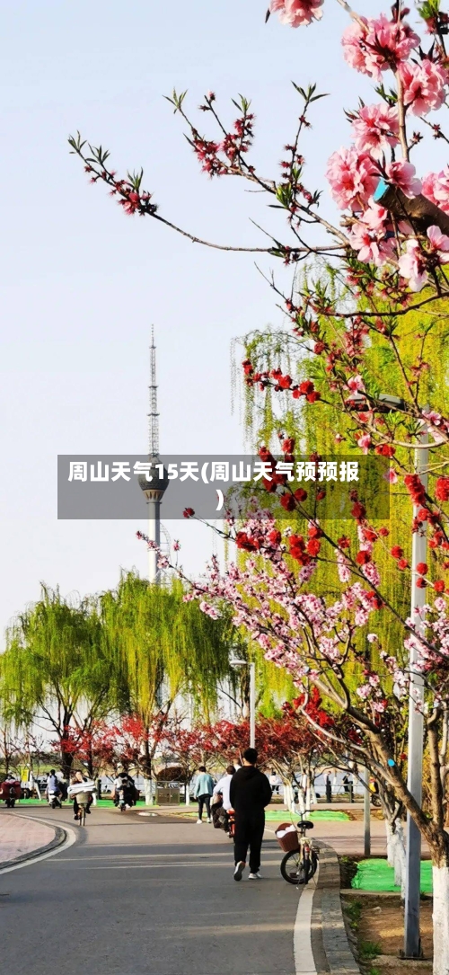 周山天气15天(周山天气预预报)