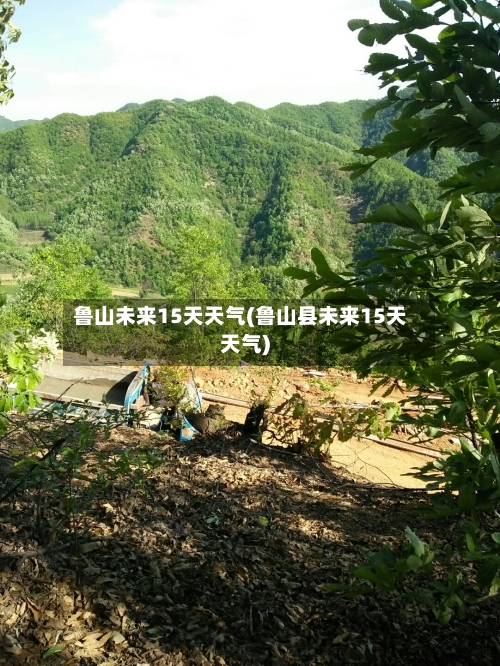 鲁山未来15天天气(鲁山县未来15天天气)
