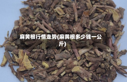 麻黄根行情走势(麻黄根多少钱一公斤)