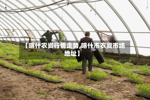【喀什农资行情走势,喀什市农资市场地址】