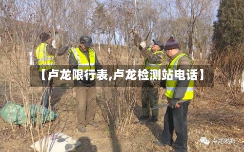【卢龙限行表,卢龙检测站电话】