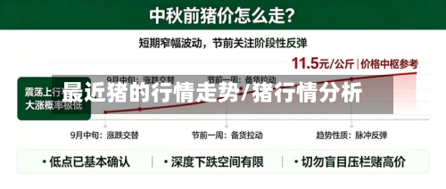 最近猪的行情走势/猪行情分析