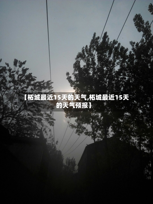 【柘城最近15天的天气,柘城最近15天的天气预报】